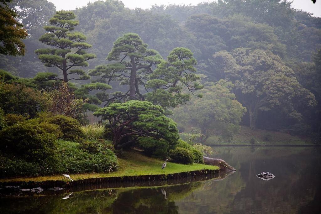 Tora Hotel Tokyo-Rikugienn 寅ホテル 六義園 A Luaran gambar